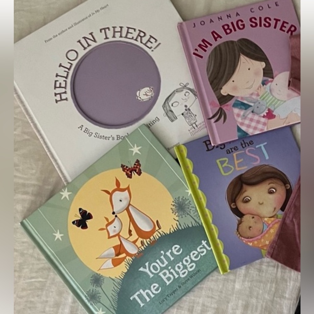 Big Sister to Little Brother Book Bundle